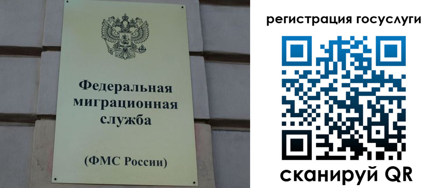 временная регистрация поиск в Чкаловске